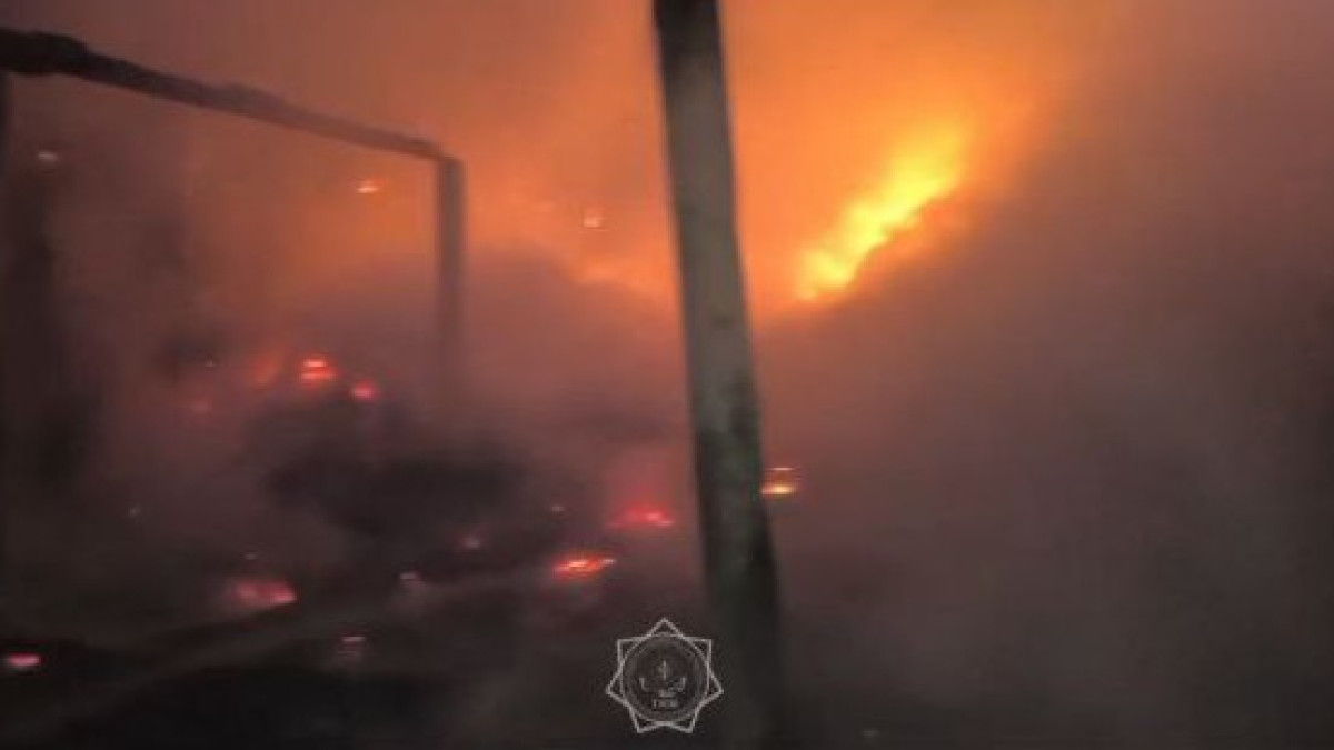  Видеодан кадр 