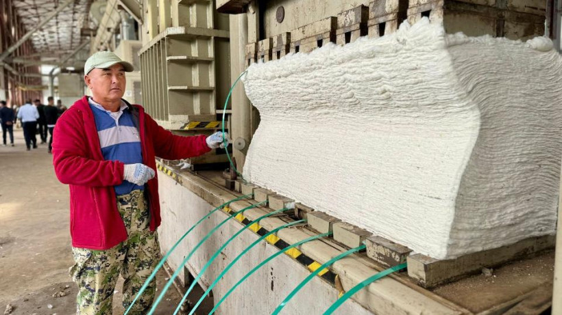  © акимат Туркестанской области 