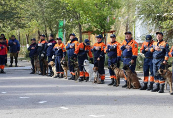 Испытания кинологических расчётов стартовали в Кызылординской области
