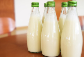 Қырғызстаннан Қазақстанға 1 тонна сүт өнімін алып өтпек болғандар ұсталды