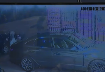 Полиция возбудила уголовное дело по факту утечки видео с дракой, в которой погиб Шерзат