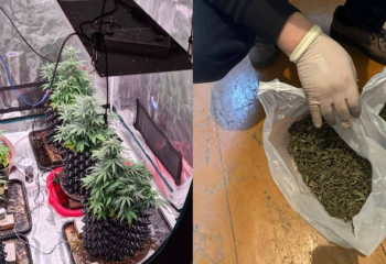 ШҚО-да полицейлер есірткі сататын интернет-дүкенді жойды