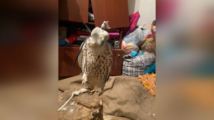  Комитет лесного хозяйства и животного мира МЭПР РК 