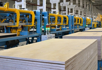 Завод по глубокой переработке древесины за 8 млрд тенге запустили в СКО