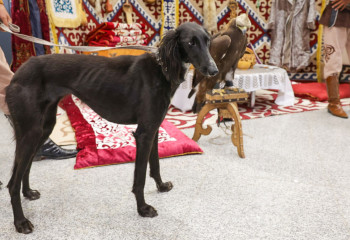 Самая красивая тазы страны - из Карагандинской области