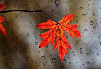 Алдағы күндері тұрақсыз ауа райы күтіледі