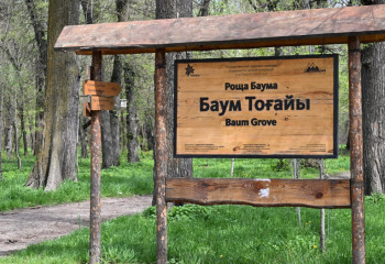 В Алматы рощу Баума благоустроят в следующем году – Ерболат Досаев