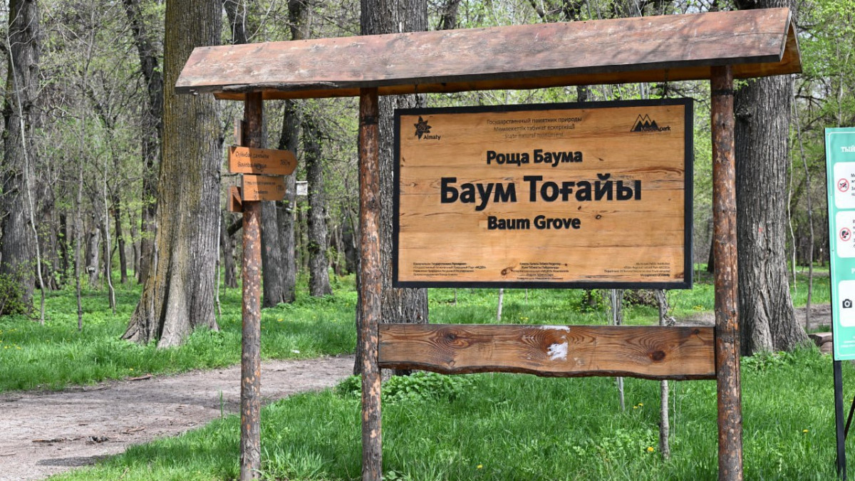  ©Пресс-служба акимата Алматы 