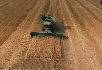 Акмолинская область завершила уборку урожая: собрано 6,6 млн тонн зерна