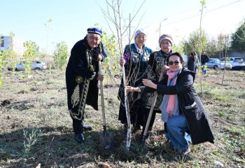 «Жарқын күз»: как алматинцы участвуют в озеленении города