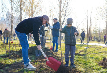 Астанада биыл миллионға жуық жасыл желек отырғызылады – қала әкімі