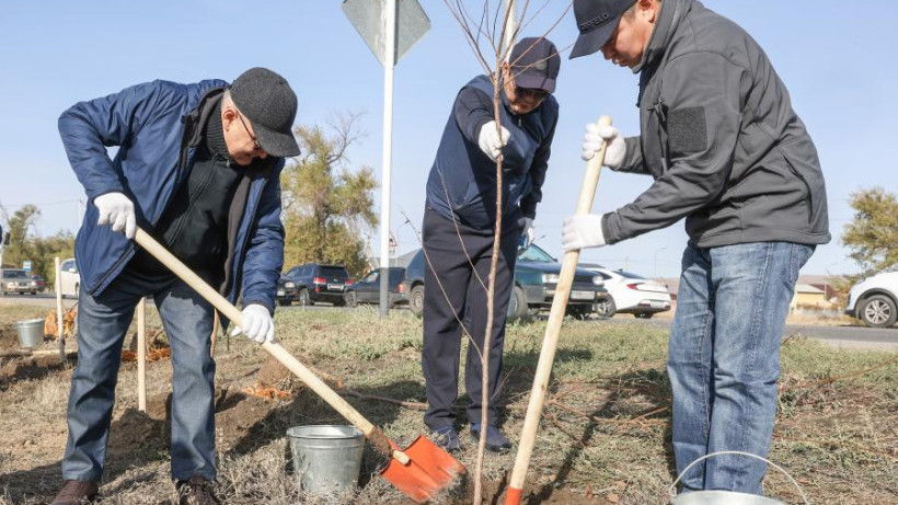  © Пресс-служба акимата области Жетысу / Жумабай МУСАБЕКОВ 