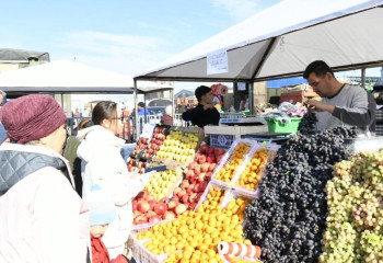 ШҚО, СҚО және Қарағанды облыстарының аграршылары Астанадағы жәрмеңкеге не әкелді