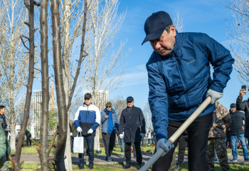 Мәжіліс депутаттары Астанада ағаш отырғызды