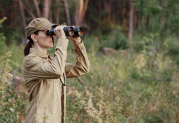 Бүгін - Орманшылар күні