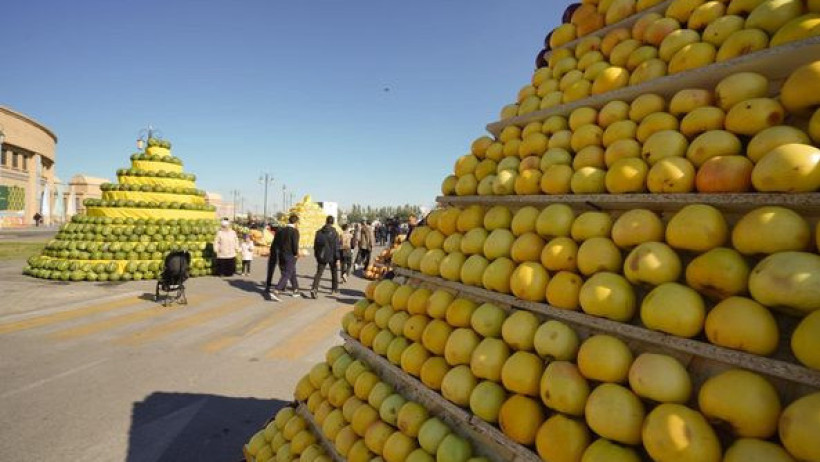  Түркістан облысы әкімдігі 