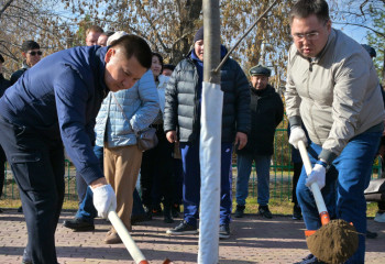 Аким Павлодарской области принял участие в осеннем субботнике