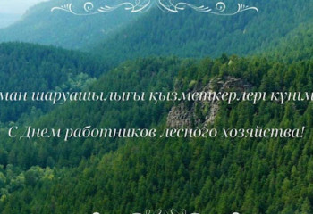 Марат Ахметжанов поздравил работников лесного хозяйства с профессиональным праздником