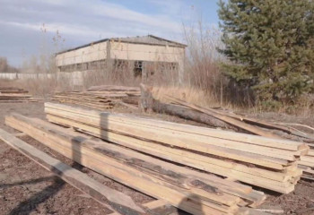 В резервате «Семей орманы» введена в эксплуатацию новая полуавтоматическая пилорама