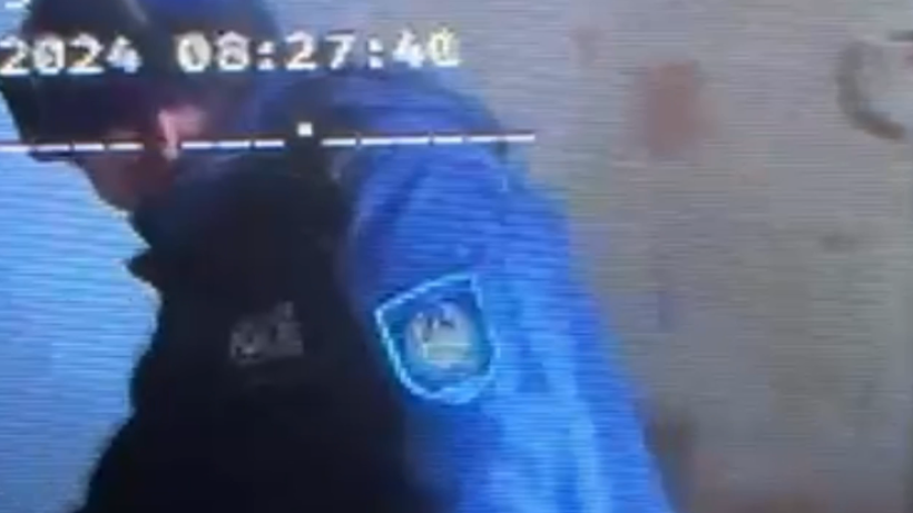  Видеодан кадр 