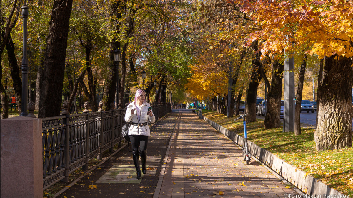  © El.kz/Максат РЫСБЕКОВ 