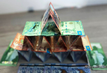 180 млн теңге шығын: «Chia TaiPharmaceutical» қаржы пирамидасының тағы мүшесі сотталды