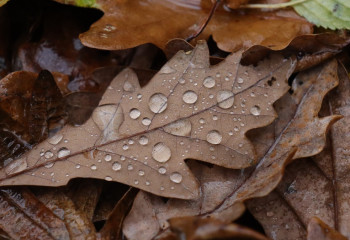 11 өңірдің көлік жүргізушілеріне ескерту жасалды