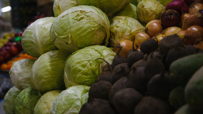  ©El.kz/ Жалғасбек ТОҚТАМЫСОВ 