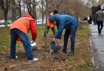 Масштабный субботник провели в области Абай ко Дню Республики