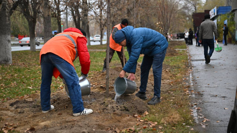 © Пресс-служба акимата области Абай 
