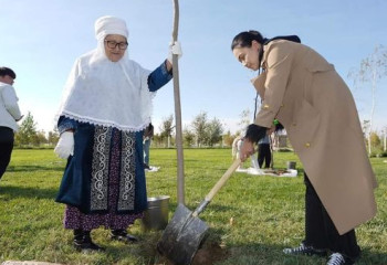 Республика күніне орай Түркістанда 100 түп ағаш отырғызылды