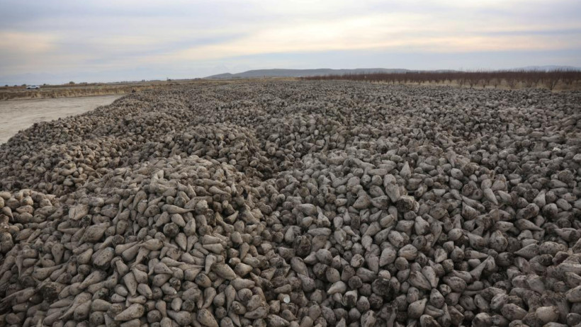  Жамбыл облысының әкімдігі 