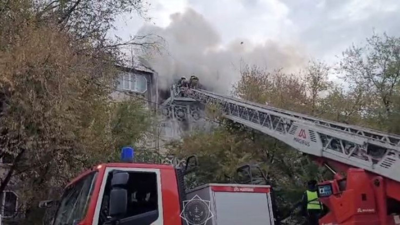  видеодан кадр 