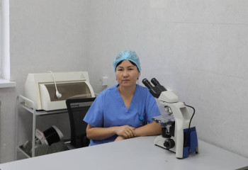 Современные амбулатории открылись в селах Туркестанской области