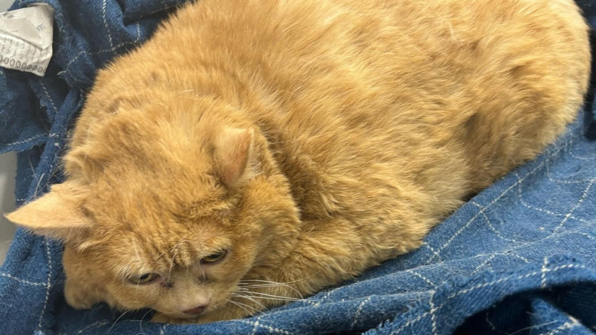  instagram.com/matroskin_prm/ 