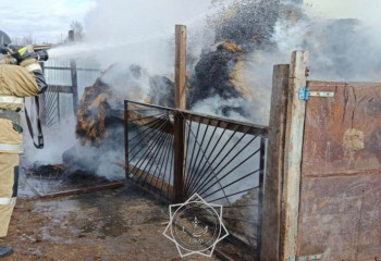 БҚО-да 6,5 тонна шөп өртенді