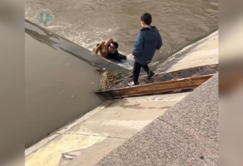 Житель Алматы спас мальчика, упавшего в речку: пользователи предлагают наградить его квартирой