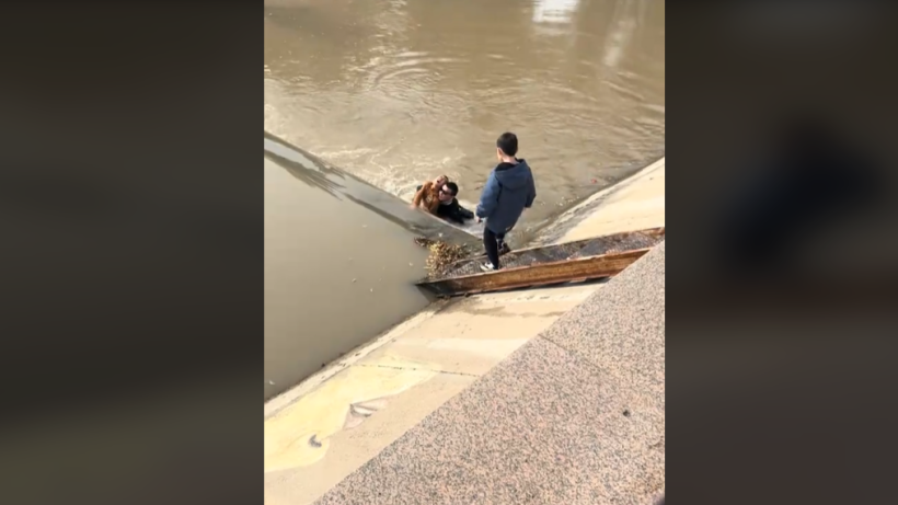  Видеодан кадр 