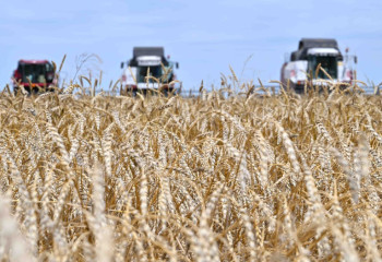 Еліміздегі егін жинау науқаны:  26,5 млн тонна астық жиналды