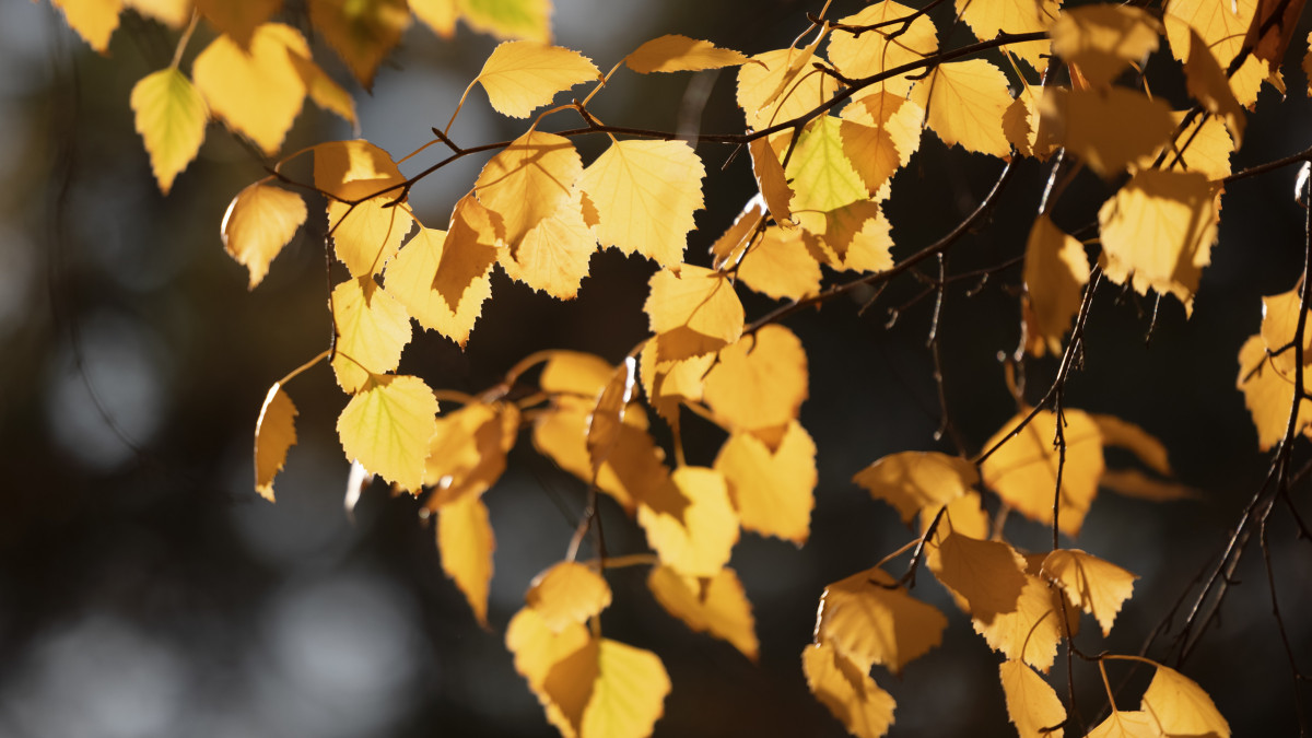  ©El.kz/Артем ЧУРСИНОВ 