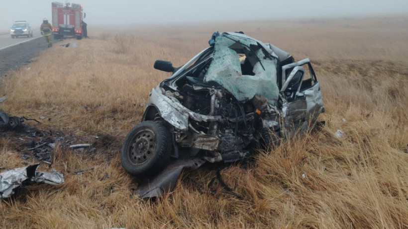  instagram.com/alau.tv 