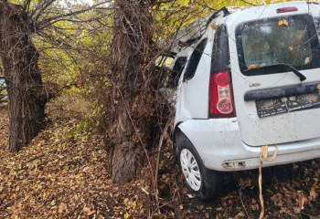 Алматы облысында көлік ағашқа соғылып, бір адам қайтыс болды