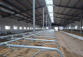 Семь молочно-товарных ферм строятся в Акмолинской области