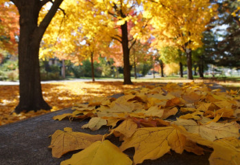 Елімізде күн жылынады