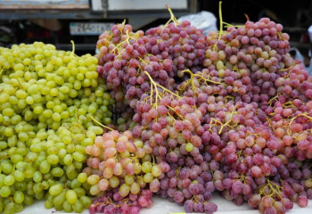 2 қарашада Астанада ауыл шаруашылығы жәрмеңкесі басталады