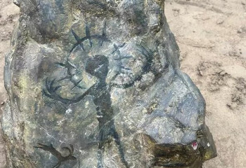 Поддельные петроглифы в Алматинской области удивили любителей истории