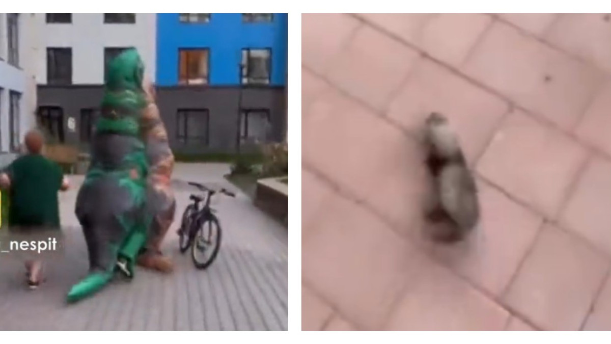  Кадр из видео 