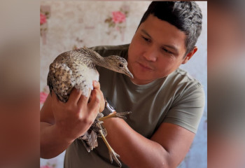 Блогер нашел краснокнижную птицу в Актау