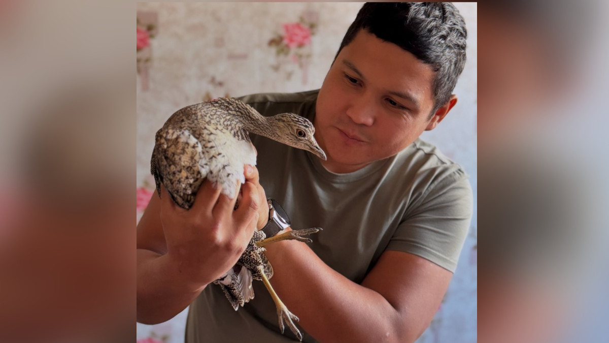  facebook.com/azamat.sarsenbaev 