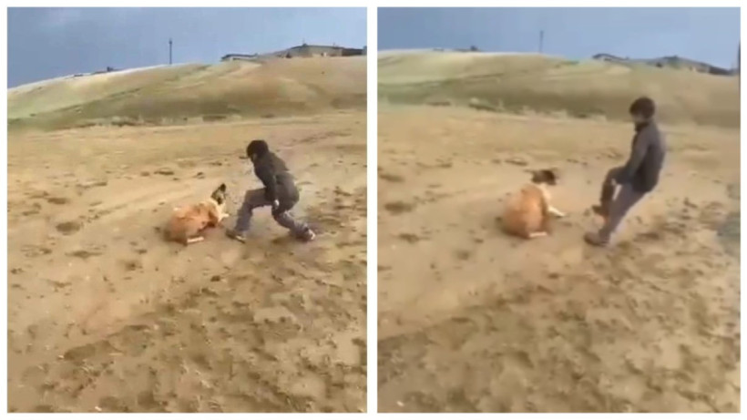  видеодан алынған кадр 